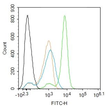 MT2A Rabbit Polyclonal Antibody