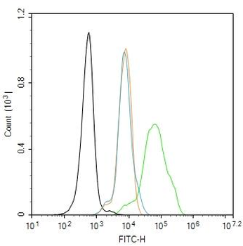 MTA1 Rabbit Polyclonal Antibody
