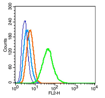 RPSA Rabbit Polyclonal Antibody