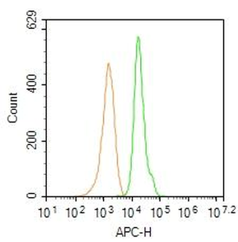 NEUROD1 Rabbit Polyclonal Antibody