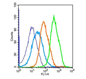 RANKL/CD254 Rabbit Polyclonal Antibody