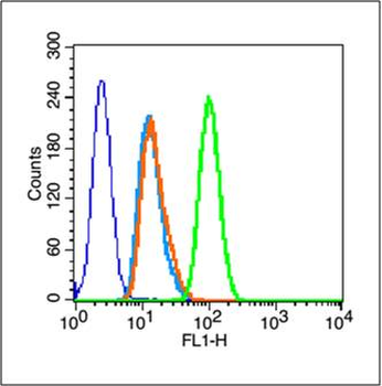 PDGF-A Rabbit Polyclonal Antibody