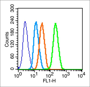 Retinoid X receptor alpha Rabbit Polyclonal Antibody