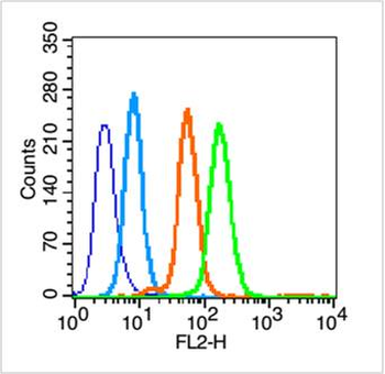 SYAP1 Rabbit Polyclonal Antibody