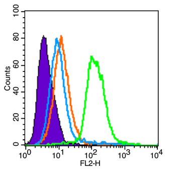 SCF Rabbit Polyclonal Antibody