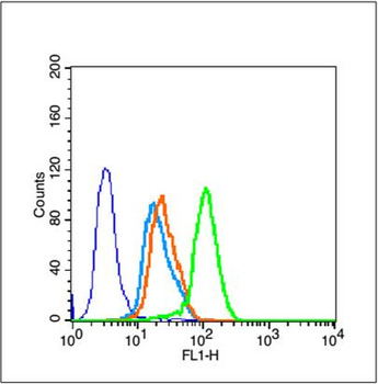 SIRT1 Rabbit Polyclonal Antibody