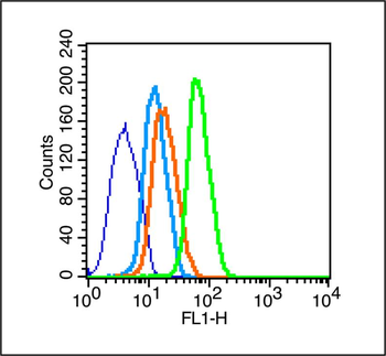 CD90/Thy-1 Rabbit Polyclonal Antibody