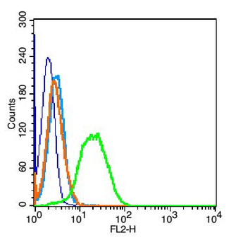 TRAF3 Rabbit Polyclonal Antibody
