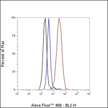 CD13 Recombinant Rabbit Monoclonal Antibody