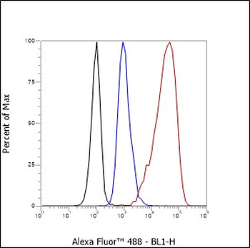 S100P Recombinant Rabbit Monoclonal Antibody