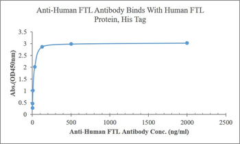 Ferritin Light Chain Rabbit Polyclonal Antibody