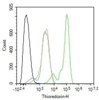 Thioredoxin Rabbit Polyclonal Antibody