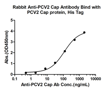 PCV2 capsid protein Rabbit Polyclonal Antibody