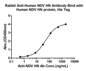NDV HN Rabbit Polyclonal Antibody
