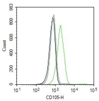 CD105 Rabbit Polyclonal Antibody