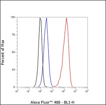 CD25 Recombinant Rabbit Monoclonal Antibody