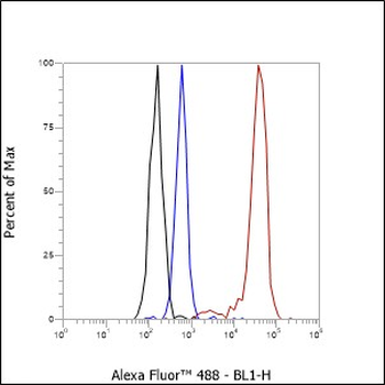 TG Recombinant Rabbit Monoclonal Antibody