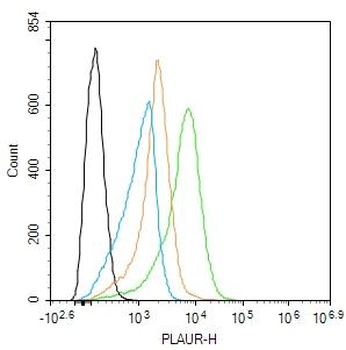 PLAUR Mouse Monoclonal Antibody