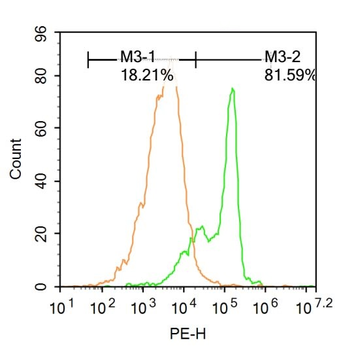Titin Rabbit Polyclonal Antibody