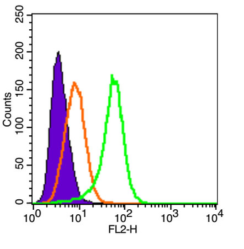 CD105 Rabbit Polyclonal Antibody (PE)