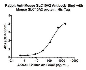 SLC10A2 Rabbit Polyclonal Antibody