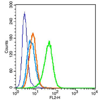 CD30 Rabbit Polyclonal Antibody