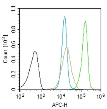 EAR1 Rabbit Polyclonal Antibody