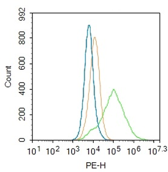 FABP7 Rabbit Polyclonal Antibody