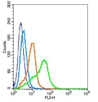 GPR78 Rabbit Polyclonal Antibody