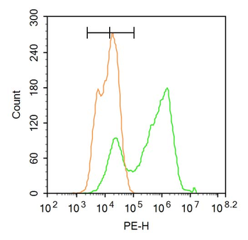 Pro-neuregulin-1, membrane-bound isoform Rabbit Polyclonal Antibody