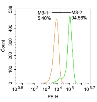 NR3C2/Mineralocorticoid receptor Rabbit Polyclonal Antibody