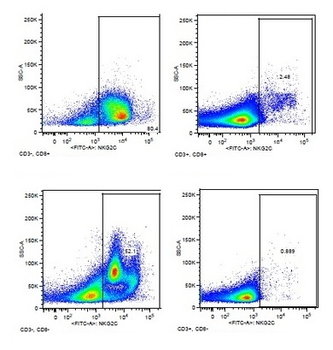 NKG2C Rabbit Polyclonal Antibody