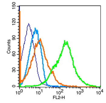 UCP-1 Rabbit Polyclonal Antibody