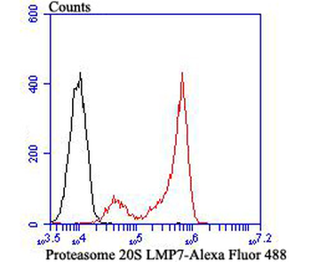 PSMB8 Recombinant Rabbit Monoclonal Antibody
