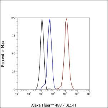 MMP3 Recombinant Rabbit Monoclonal Antibody