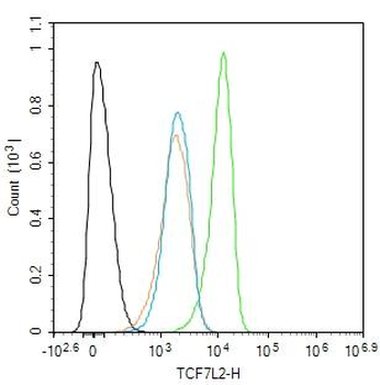 TCF7L2 Recombinant Rabbit Monoclonal Antibody