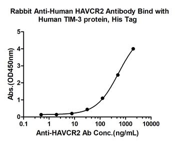 HAVCR2/TIM-3 Rabbit Polyclonal Antibody