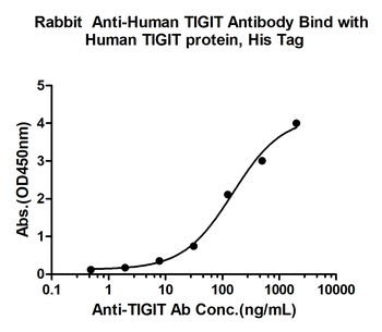 TIGIT Rabbit Polyclonal Antibody