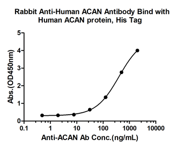 ACAN Rabbit Polyclonal Antibody