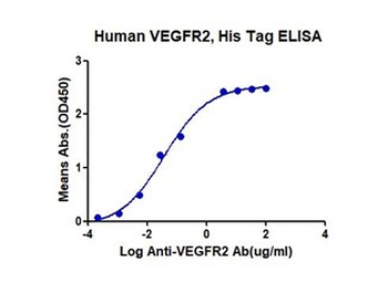 Recombinant human VEGFR2 protein, C-His-Avi (HEK293)