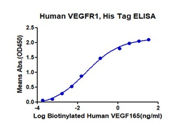 Recombinant human VEGFR1 protein, C-His-Avi (HEK293)