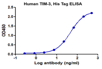 Recombinant human HAVCR2 protein, C-His (HEK293)