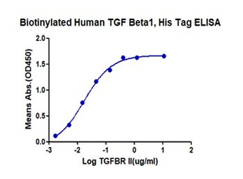 Recombinant human TGFBR2 protein, N-hFc (HEK293)