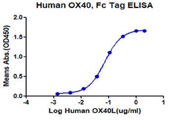 Recombinant human TNFRSF4 protein, C-hFc (HEK293)