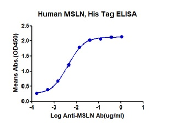 Recombinant human Mesothelin, C-His-Avi (HEK293)