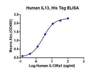 Recombinant human IL-13RA1 protein, C-hFc (HEK293)