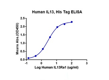 Recombinant human IL-13 protein, N-His-Avi (HEK293)