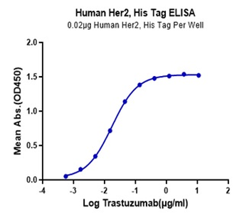 Recombinant human ErbB2 / Her2 protein, C-His-Avi (HEK293)