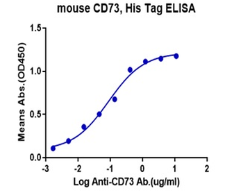 Recombinant mouse CD73 protein, C-His (HEK293)