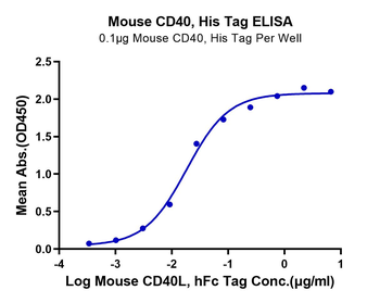 Recombinant mouse CD40 protein, C-His (HEK293)